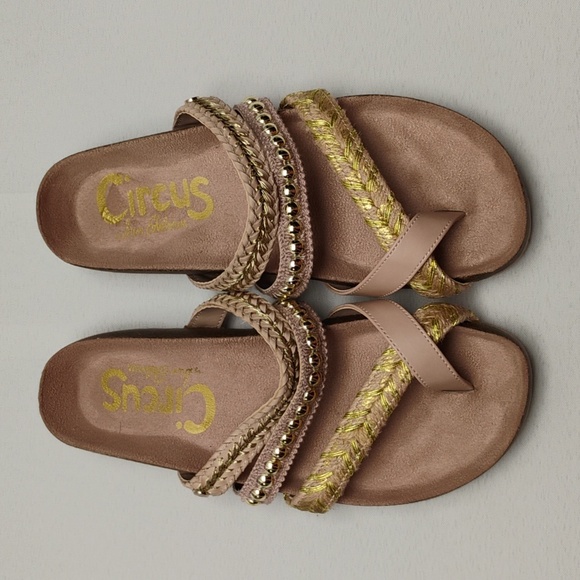 Circus by Sam Edelman Shoes - Circus by Sam Edelman Women's Oleander Flat Sandal